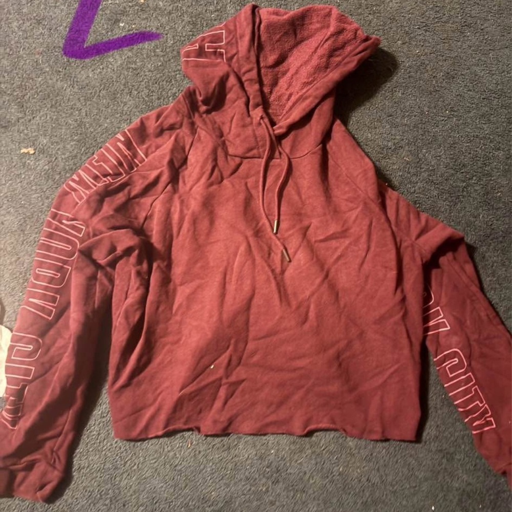 large aeropostale cropped hoodie